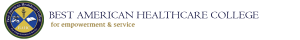 Best American Healthcare College logo