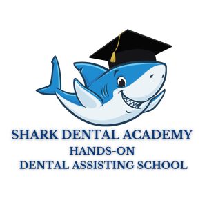 Shark Dental Academy logo